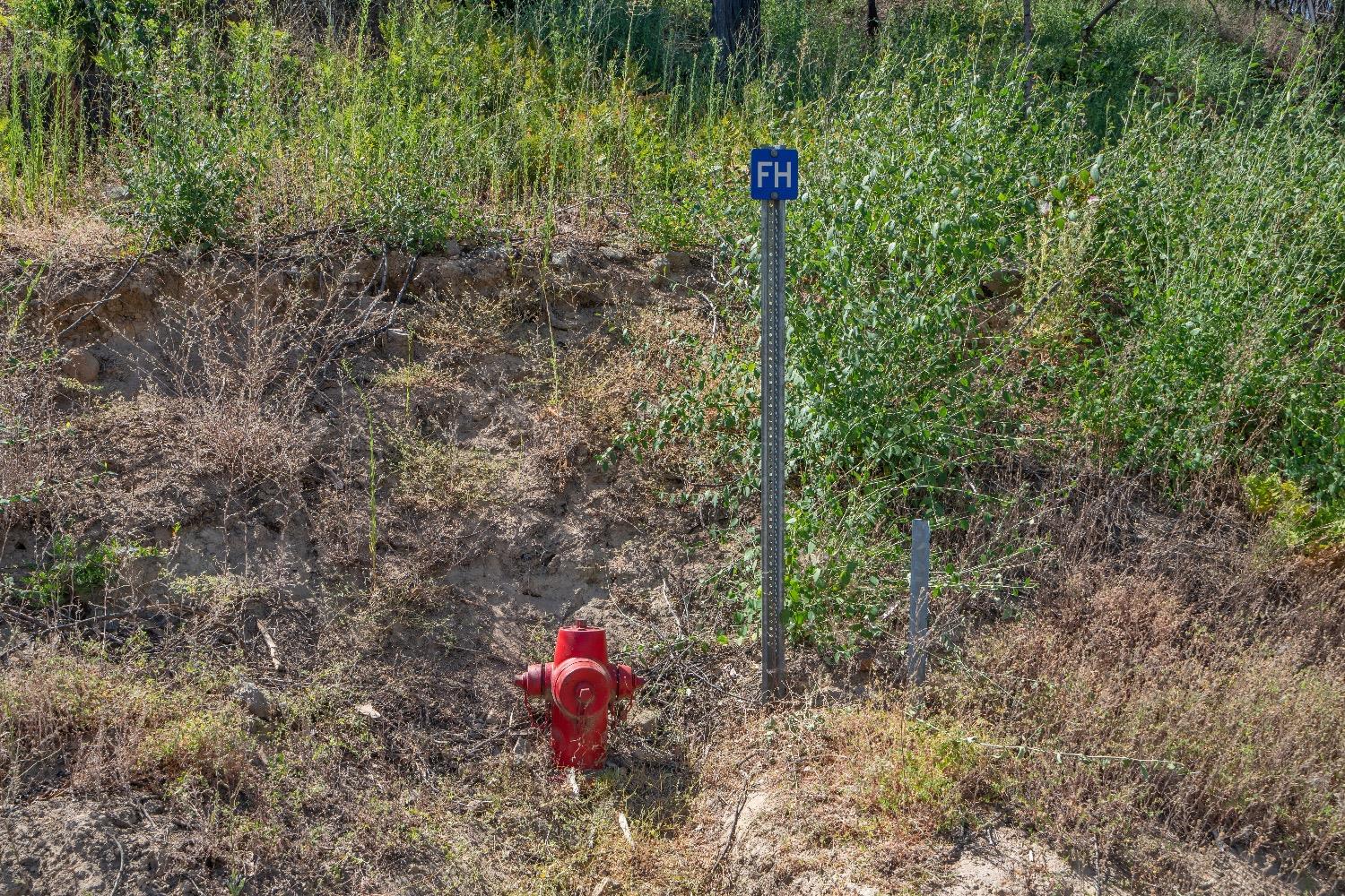 Merrywood Court, Grizzly Flats, California image 22