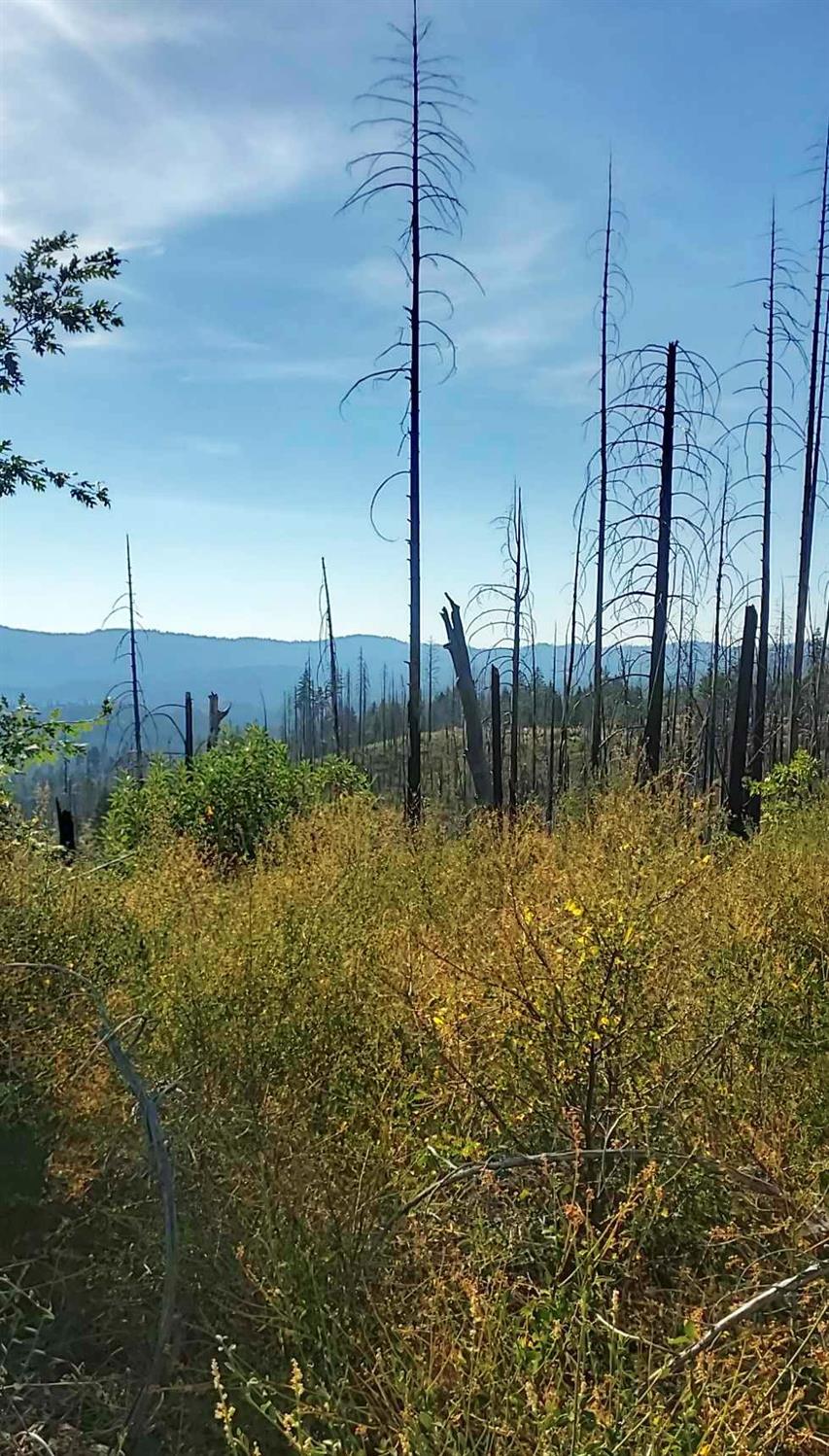 S Southridge Road, Hayfork, California image 8