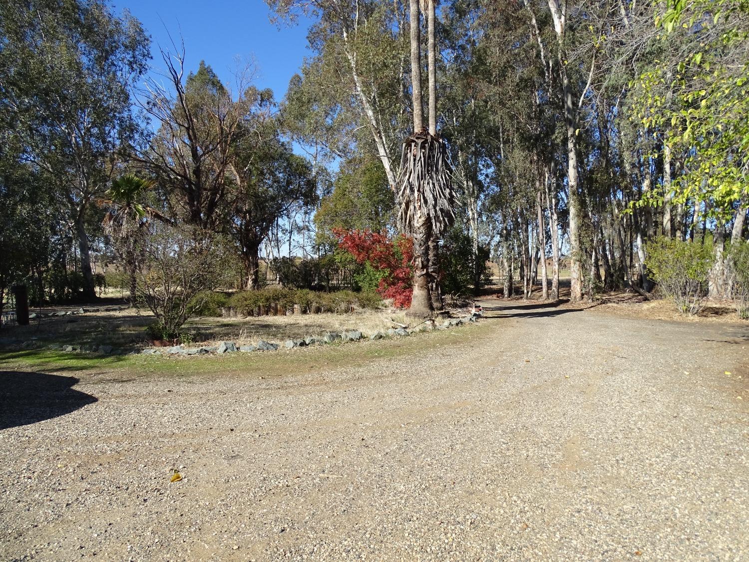 Eastman Lane, Oroville, California image 2