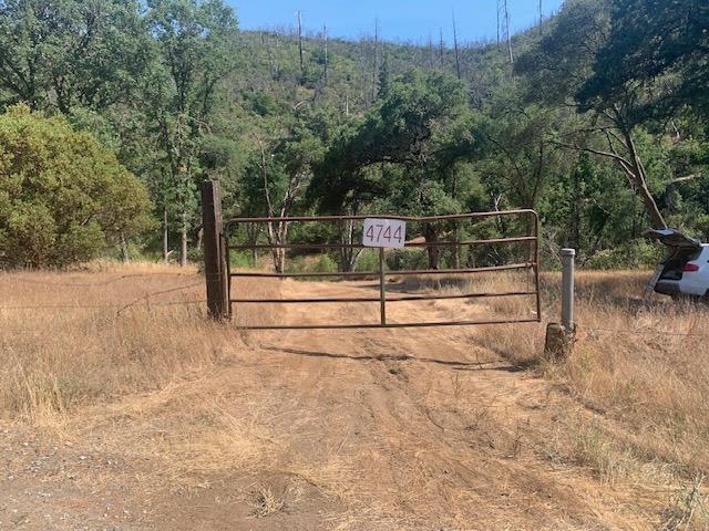 Mountain Ranch Road, San Andreas, California image 4