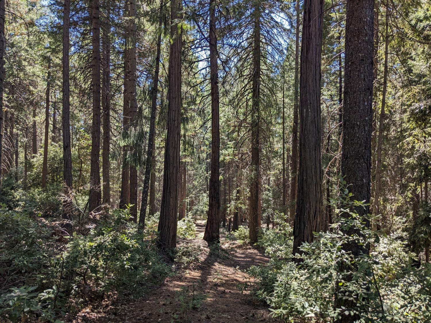 Photo of 14929 Banner Quaker Hill Rd in Nevada City, CA