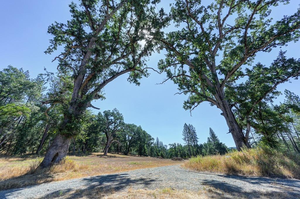 Bridgeport School Road, Fiddletown, California image 35