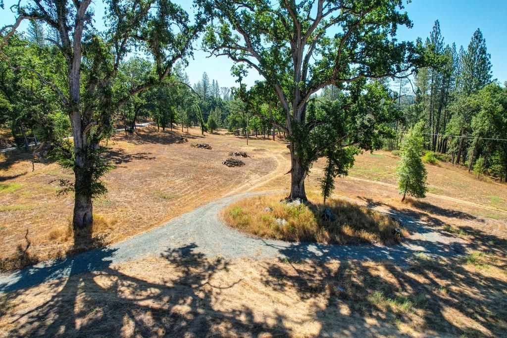 Bridgeport School Road, Fiddletown, California image 3