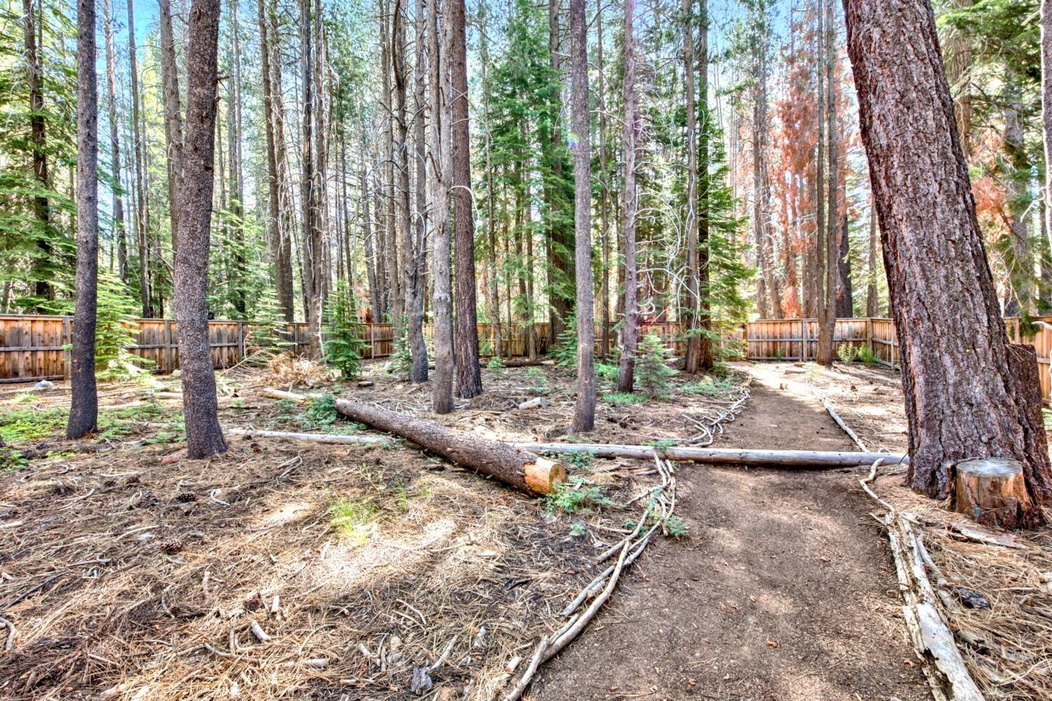 Mandan Street, South Lake Tahoe, California image 9