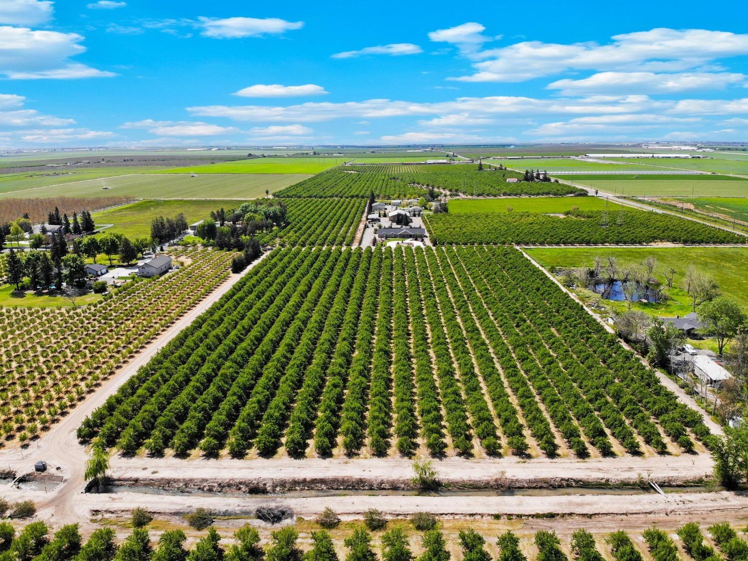 Escalon Bellota Road, Escalon, California image 3