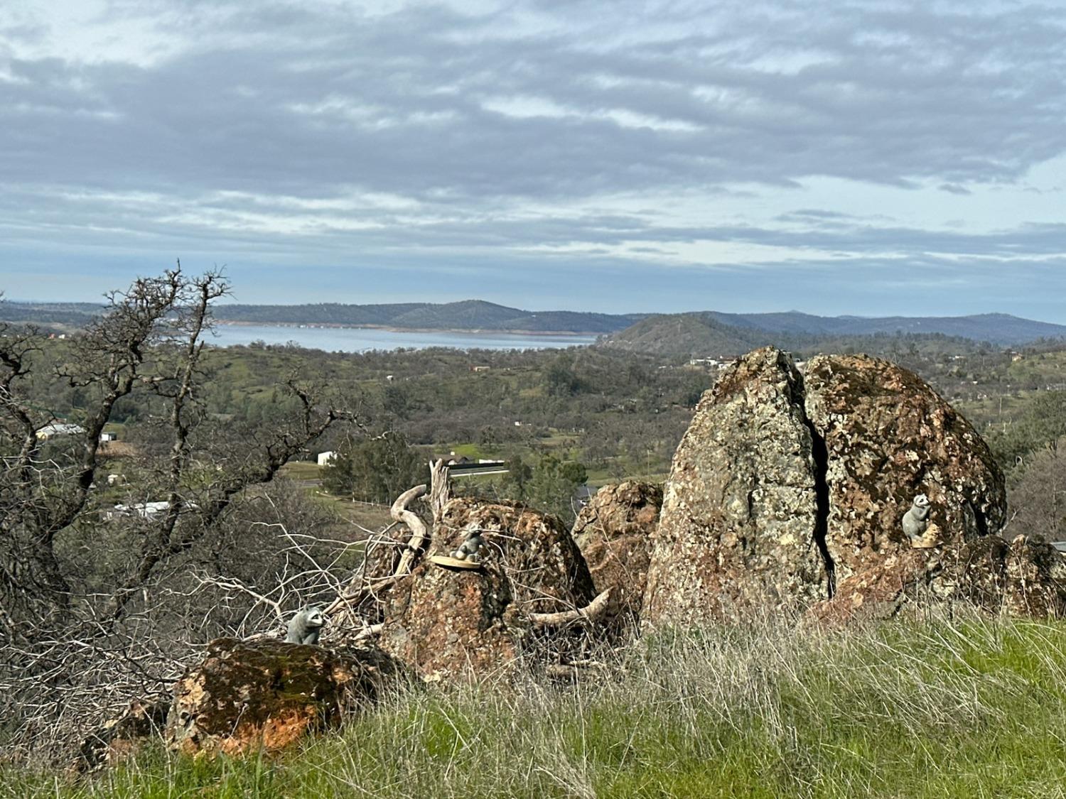 Arbolada, La Grange, California image 2