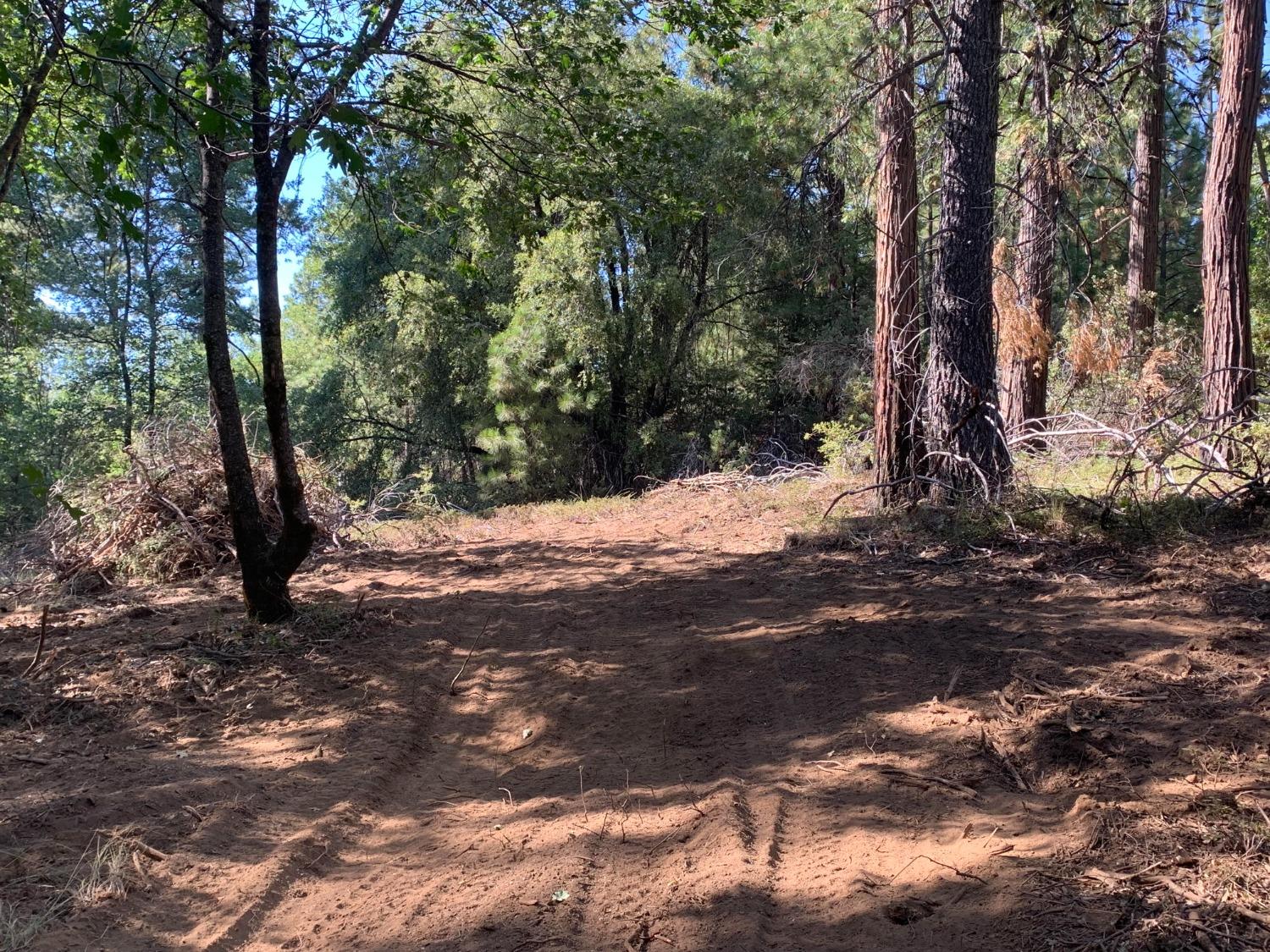 Photo of 10-AC Meyers Rd in Camino, CA