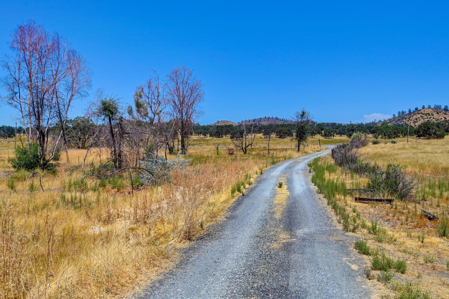 La Grange Road, Jamestown, California image 33