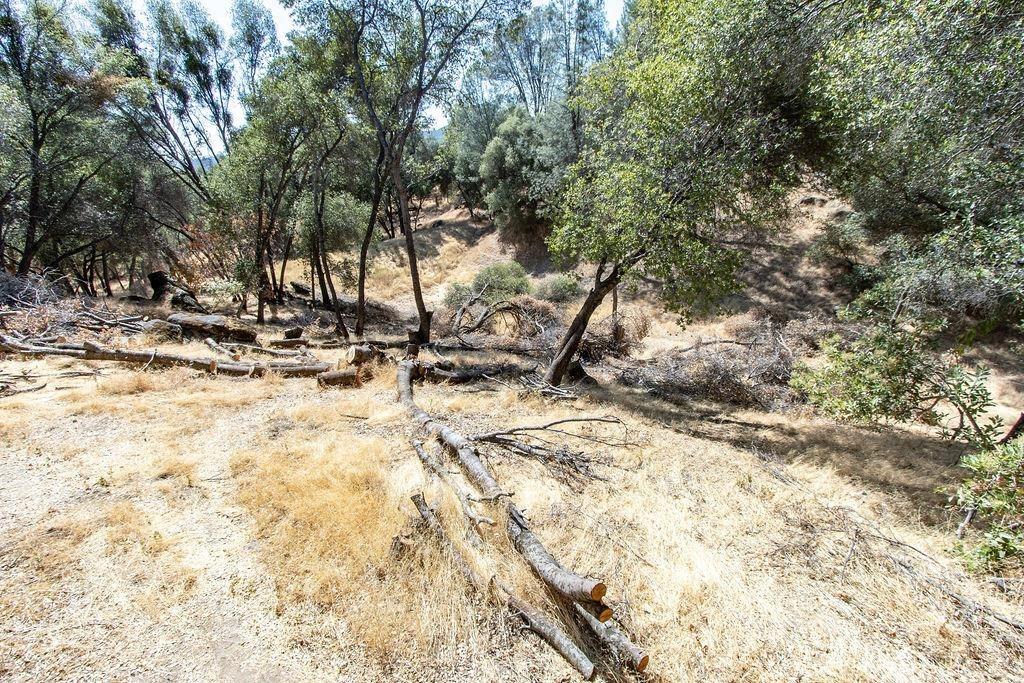 Darrah Road, Mariposa, California image 37