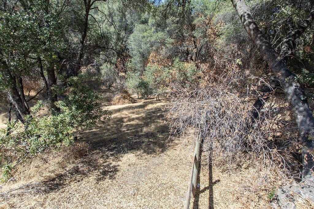Darrah Road, Mariposa, California image 38