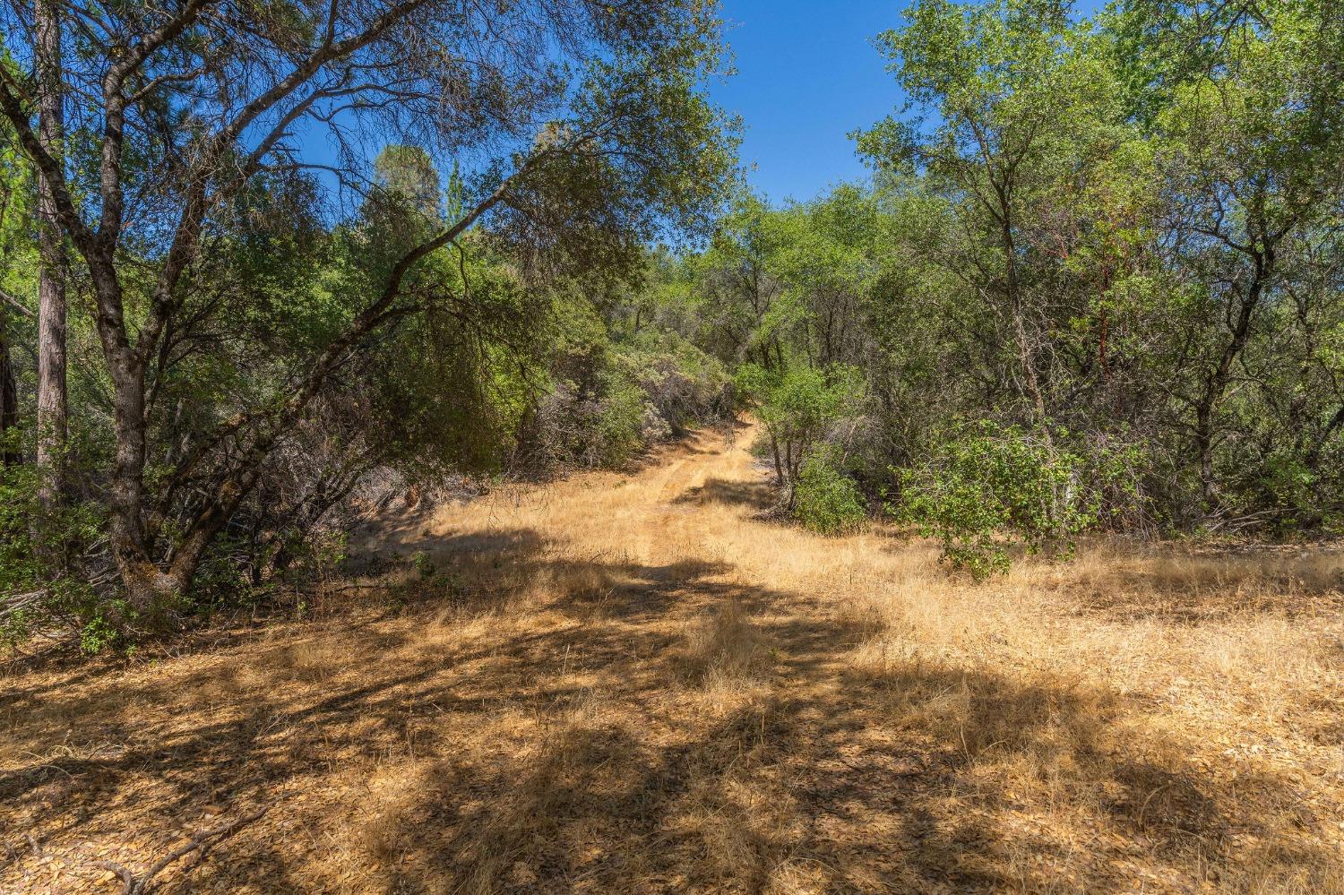 American Flat, Fiddletown, California image 18