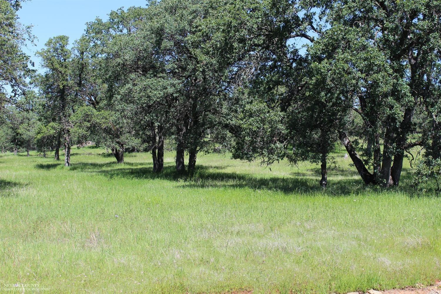 Photo of 31 Stern Ln in Browns Valley, CA