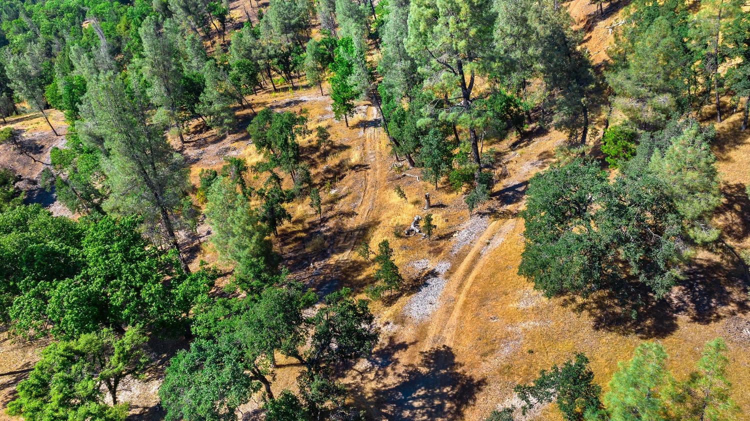 Moonrise, Colfax, California image 13