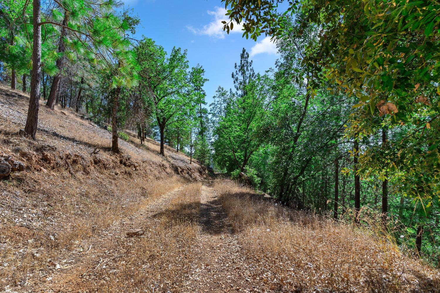 Moonrise, Colfax, California image 31