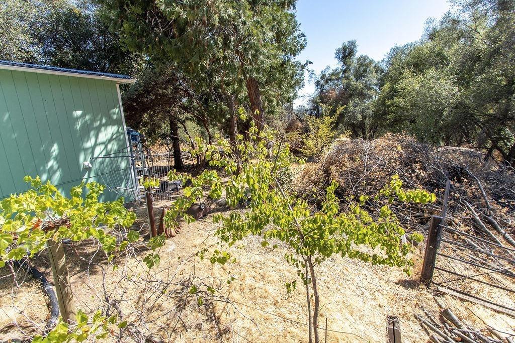 Darrah Road, Mariposa, California image 39