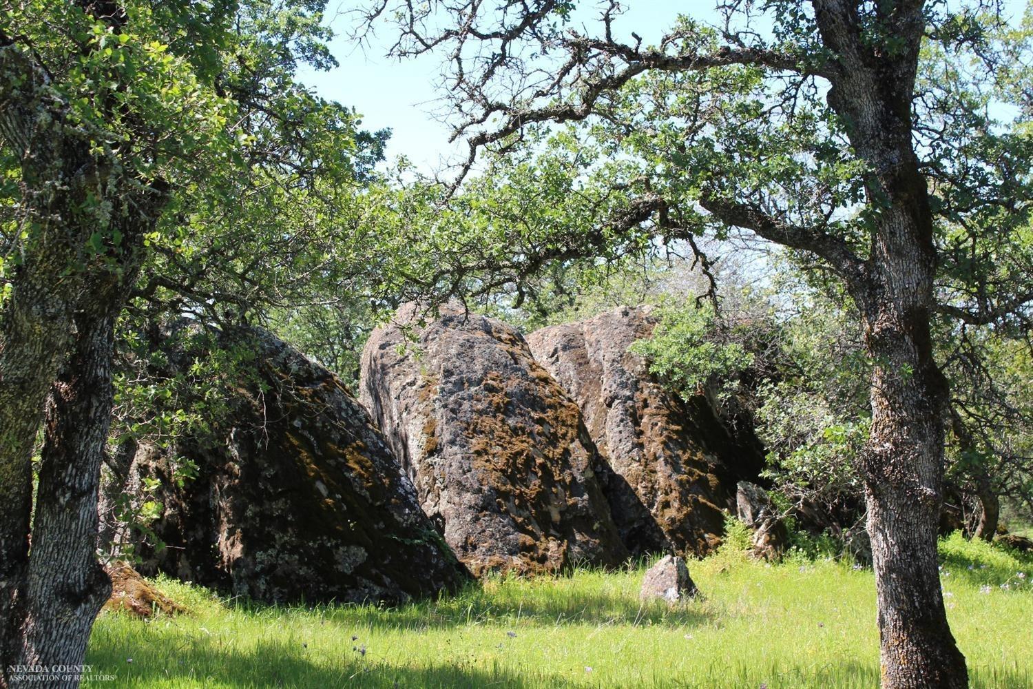 Stern Lane, Browns Valley, California image 24
