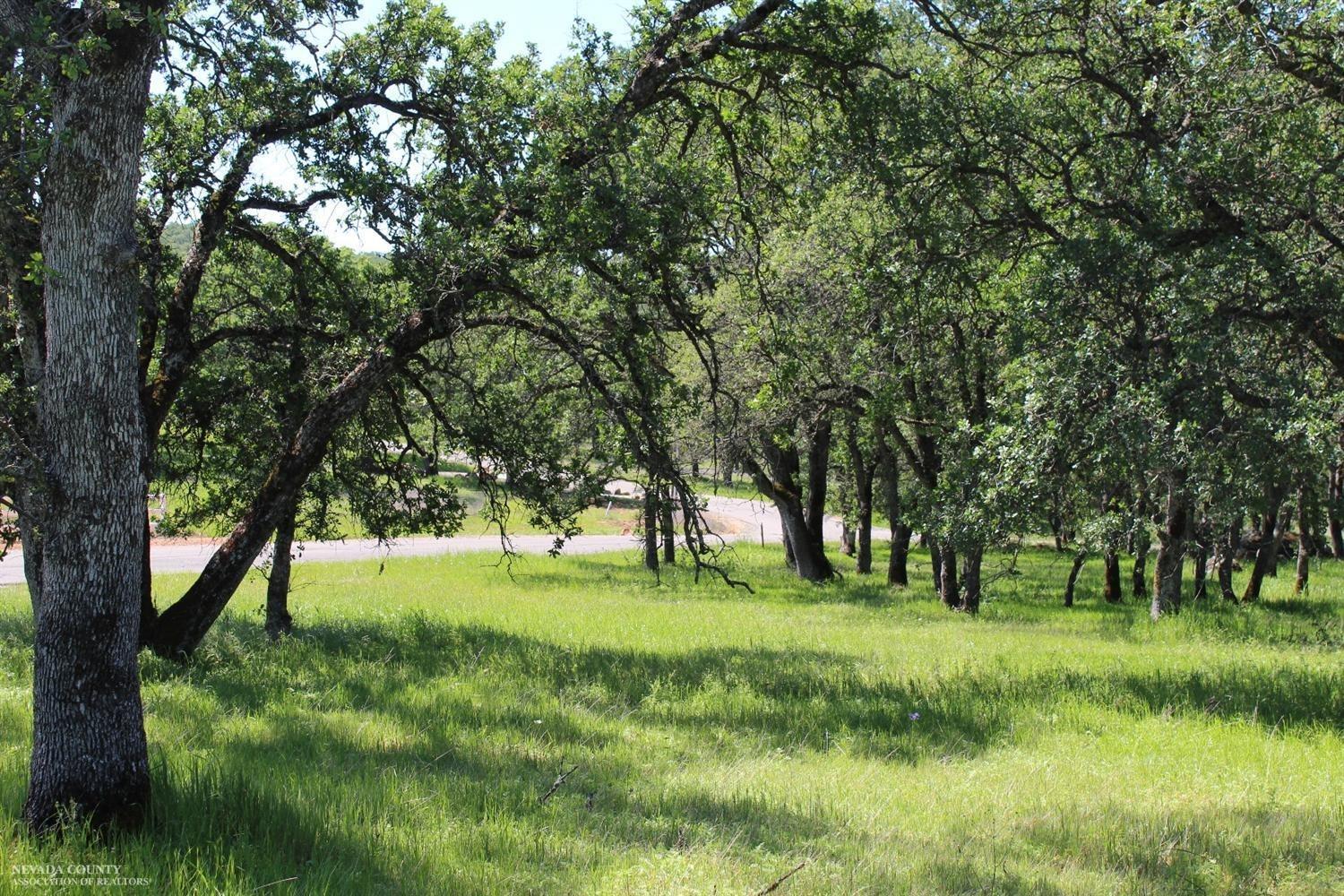 Stern Lane, Browns Valley, California image 23