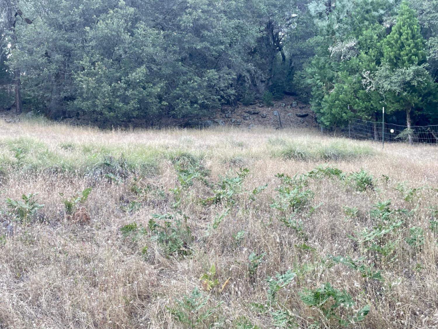 Photo of 7160 Buzzards Gulch Rd in Somerset, CA