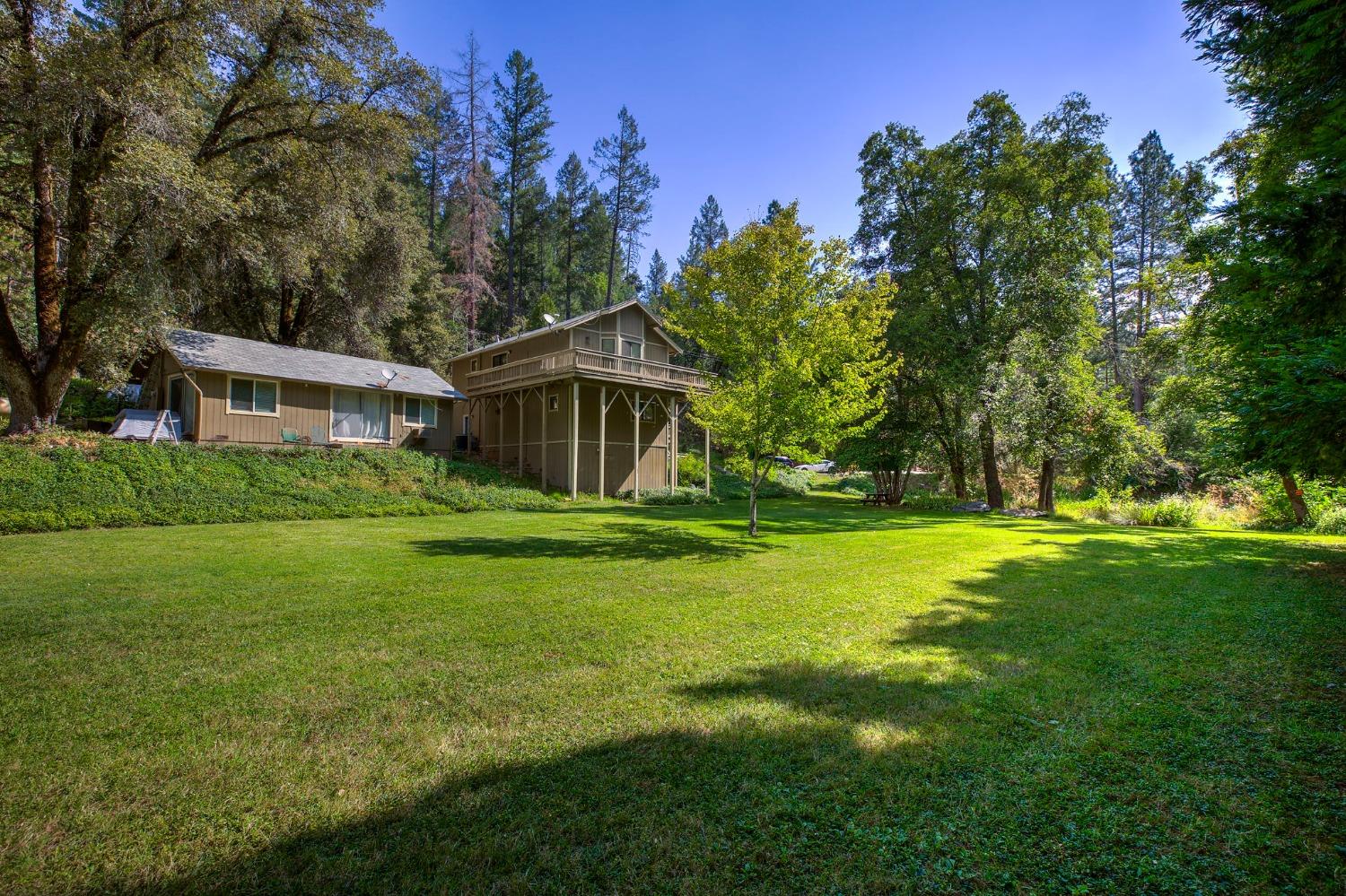 Tree Farm, Colfax, California image 42