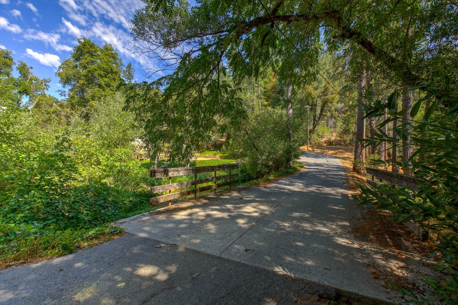 Tree Farm, Colfax, California image 39