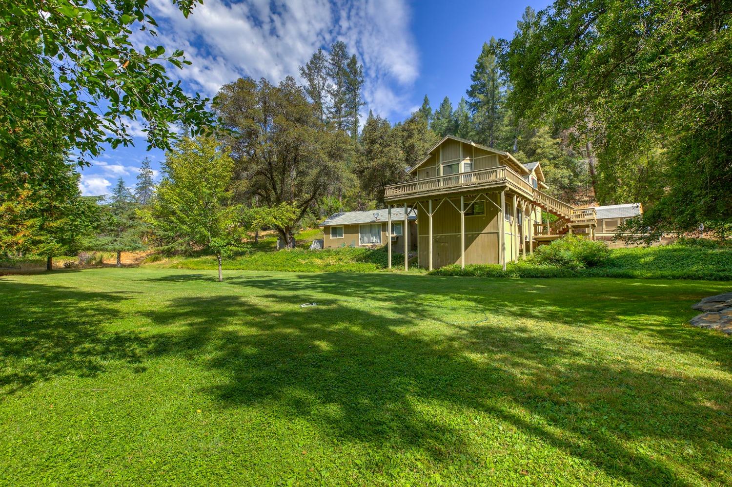 Tree Farm, Colfax, California image 3