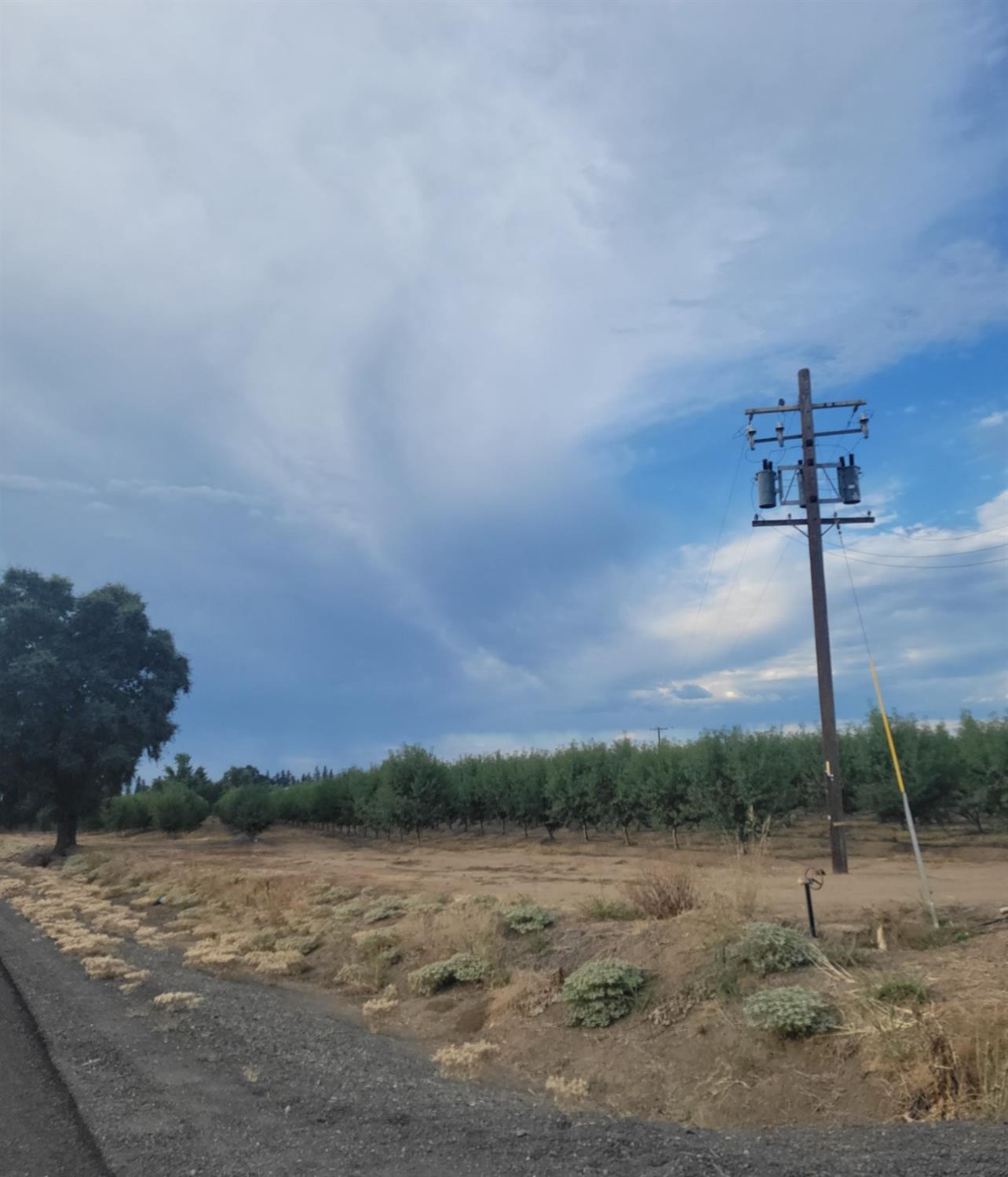 State Highway 99, Gridley, California image 18