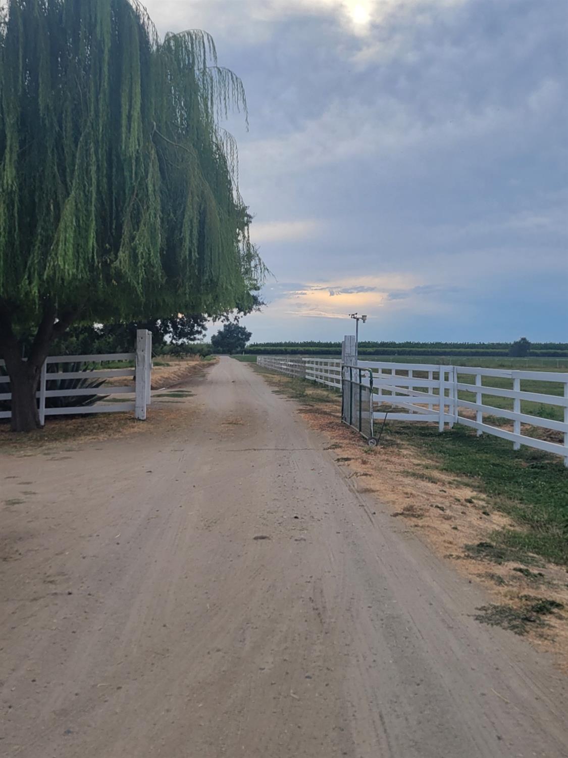 State Highway 99, Gridley, California image 19