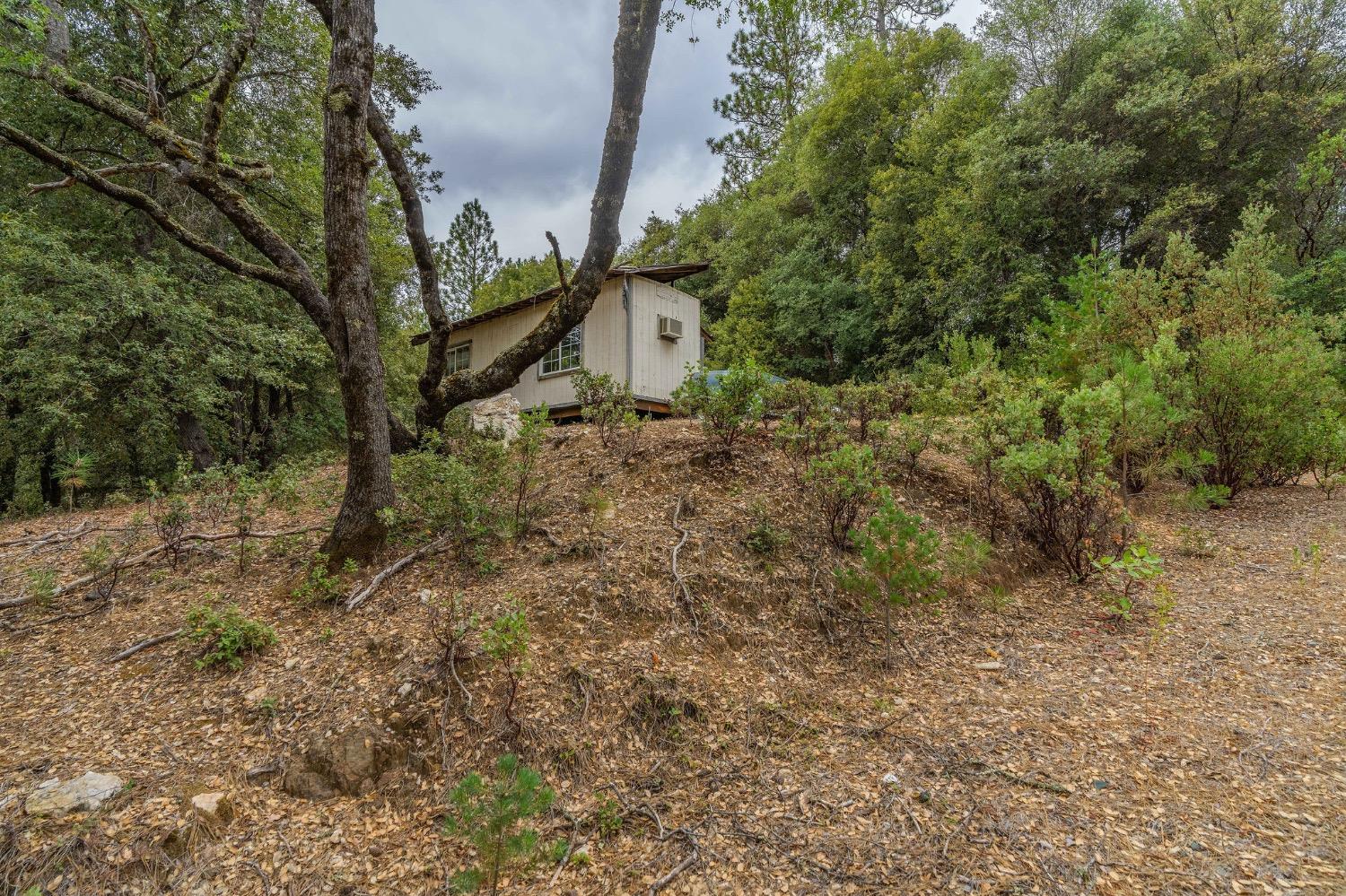 Photo of 14595 Manzanita Rd in Sutter Creek, CA