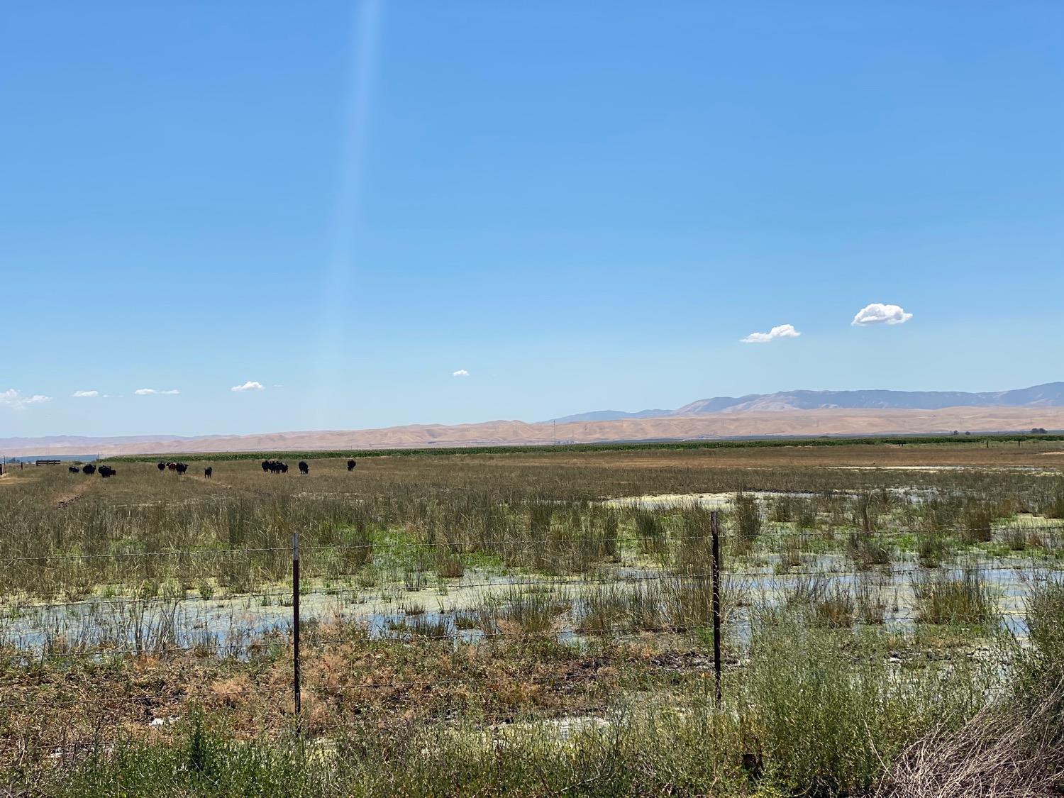 Cotton Road, Los Banos, California image 6