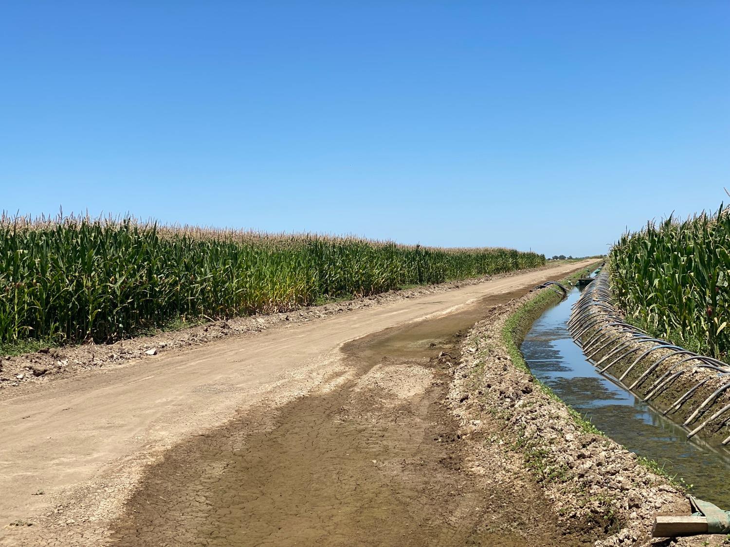 Cotton Road, Los Banos, California image 1