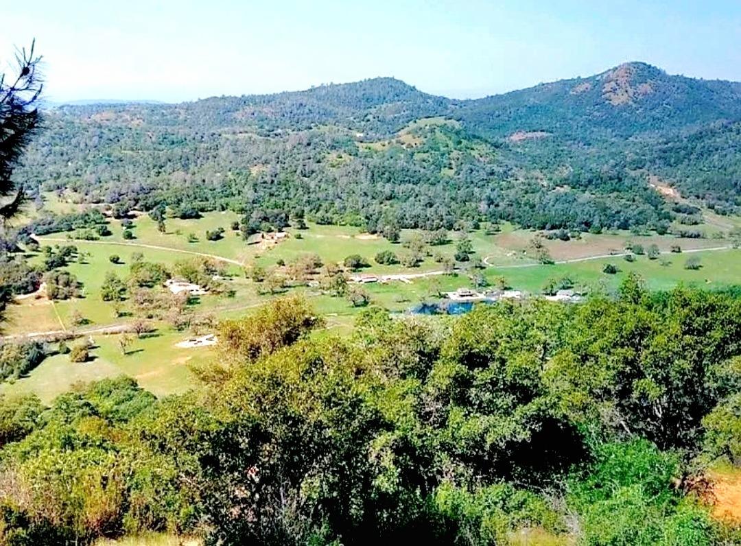 Photo of 1669 Pinto Dr in Angels Camp, CA