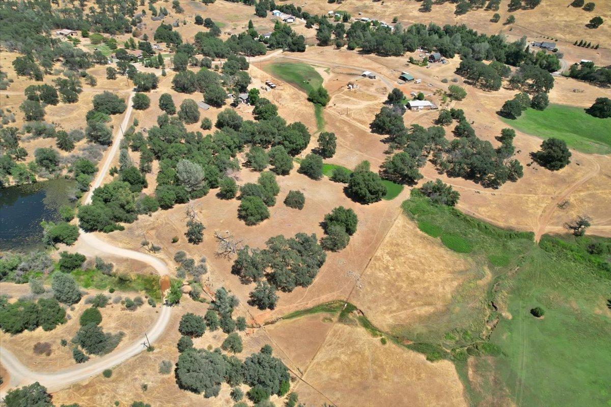 Saenger Trail, Browns Valley, California image 8