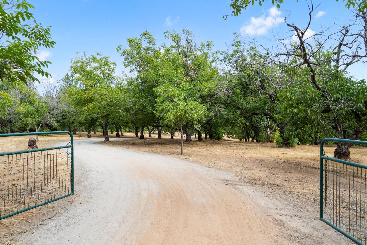 Spink Road, West Point, California image 4