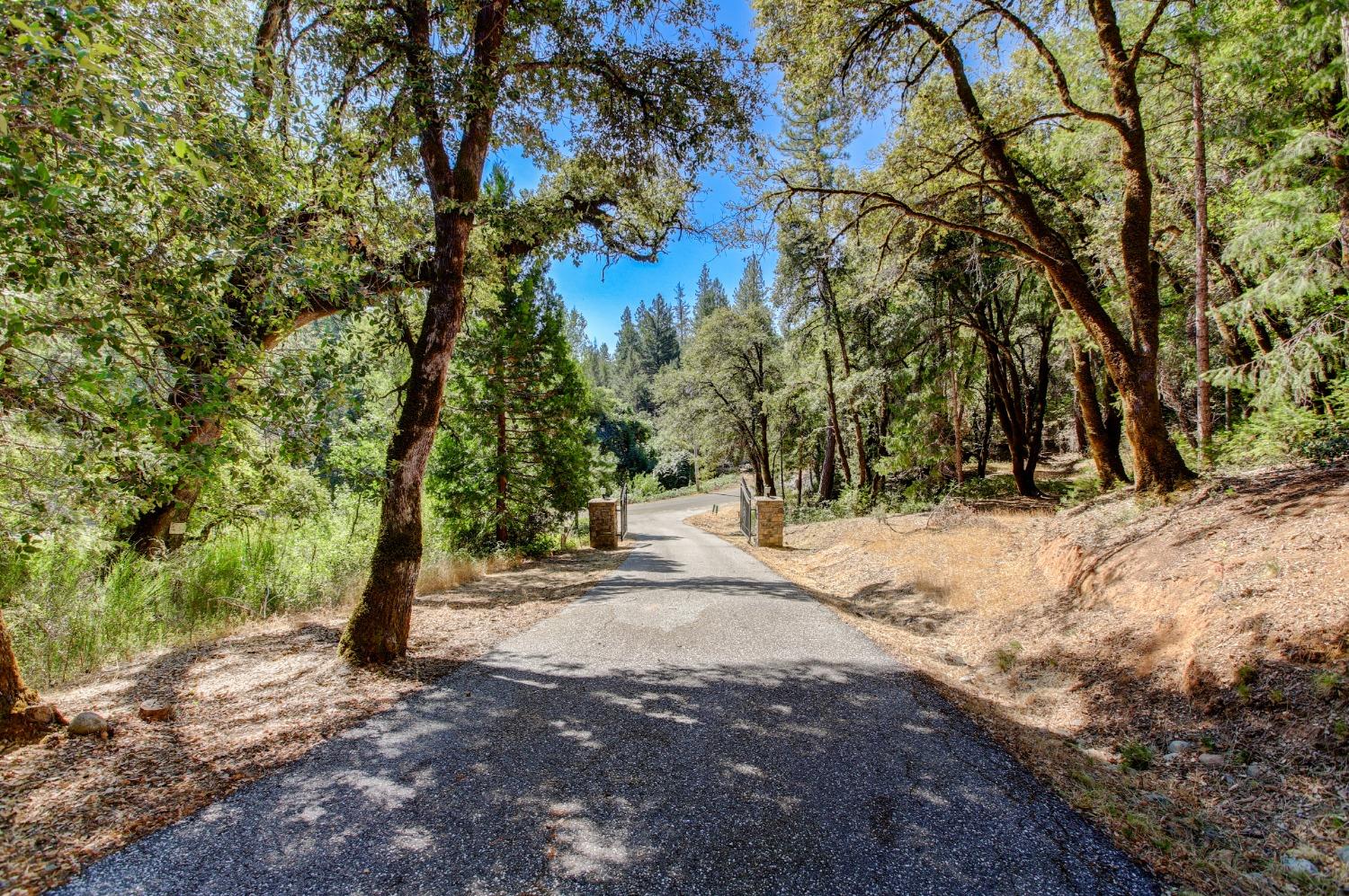 Pine Cone Circle, Grass Valley, California image 35