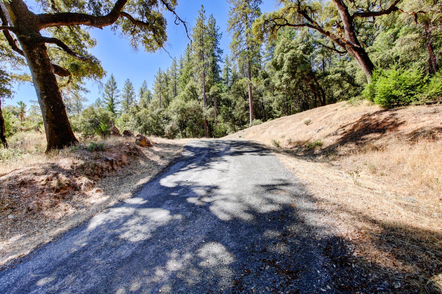 Pine Cone Circle, Grass Valley, California image 39