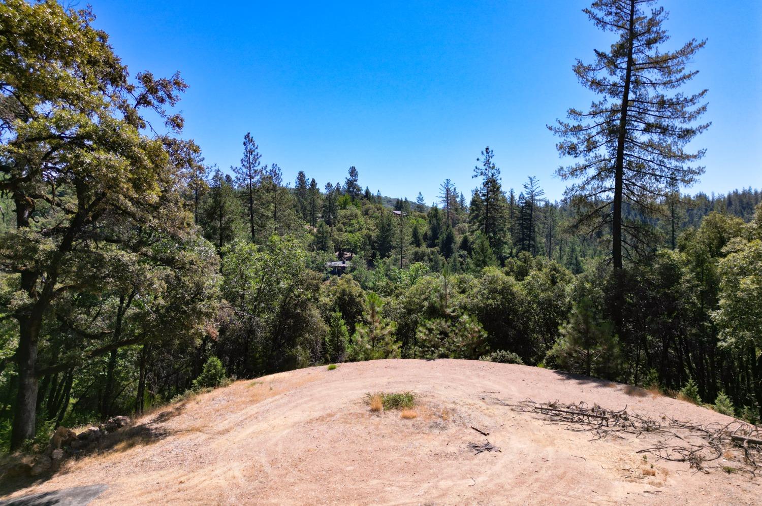 Pine Cone Circle, Grass Valley, California image 8