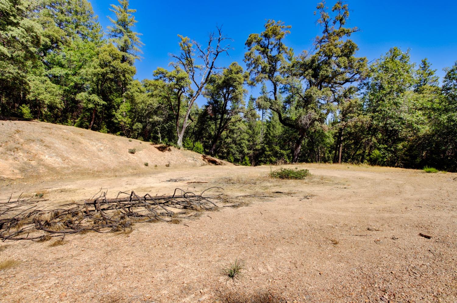 Pine Cone Circle, Grass Valley, California image 50