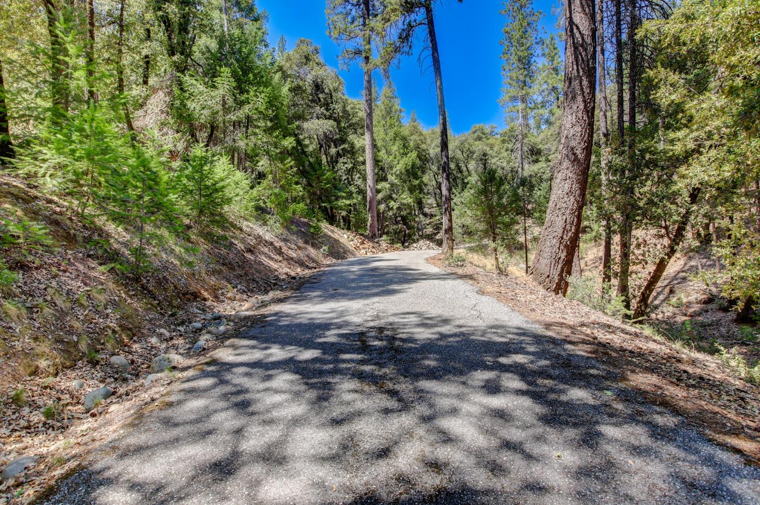 Pine Cone Circle, Grass Valley, California image 3