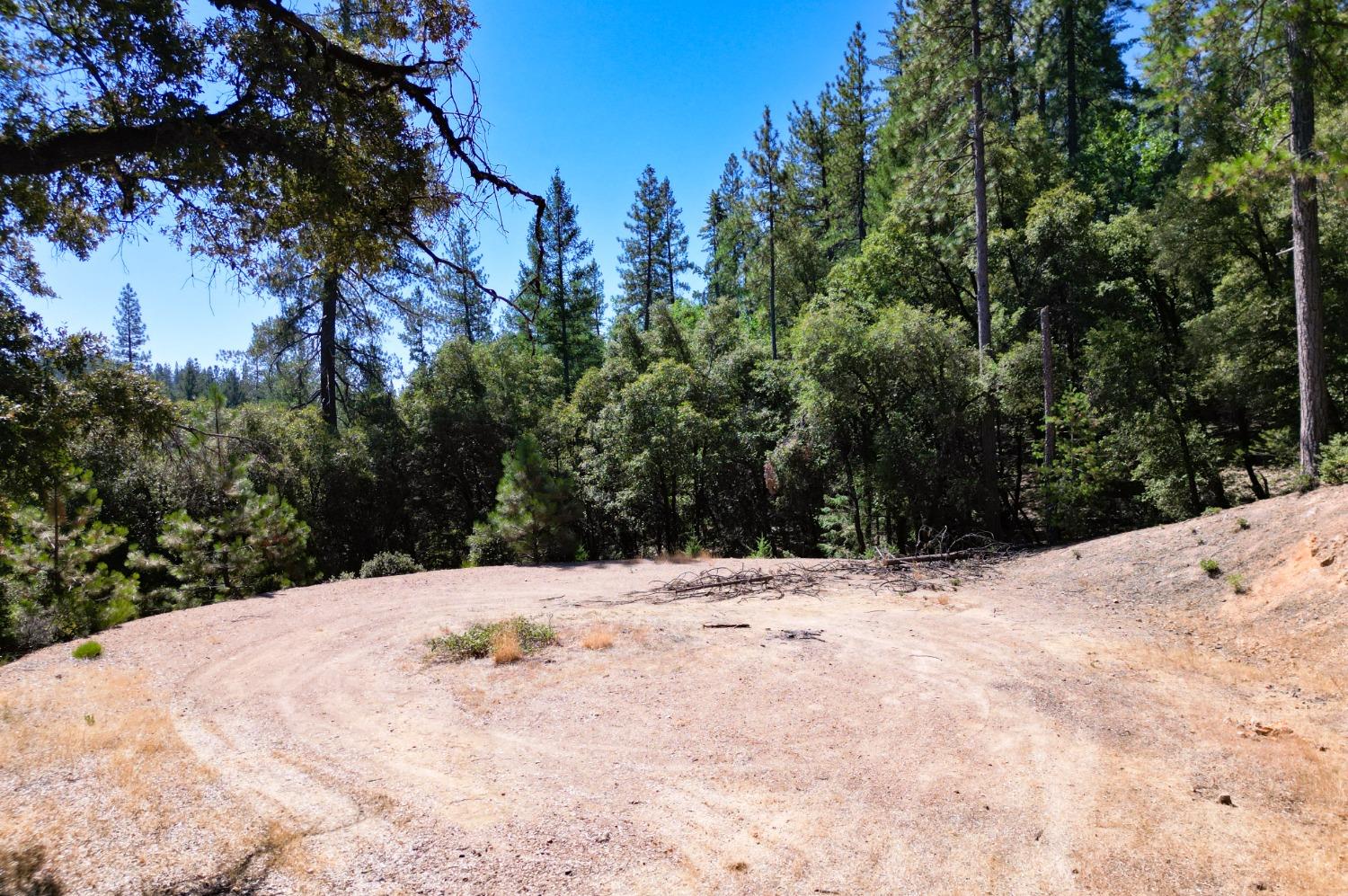 Pine Cone Circle, Grass Valley, California image 6