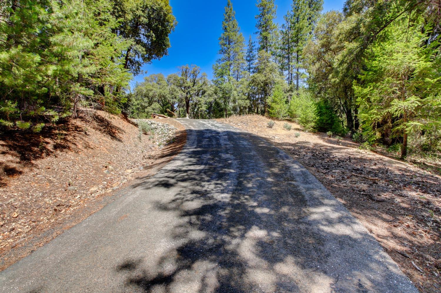 Pine Cone Circle, Grass Valley, California image 5