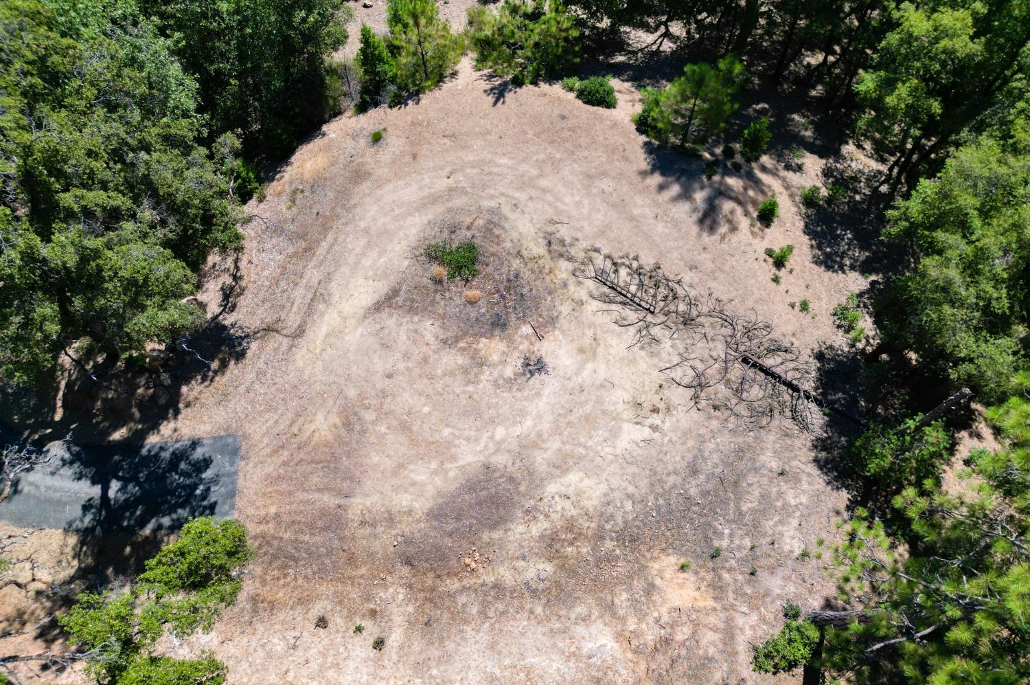 Pine Cone Circle, Grass Valley, California image 9