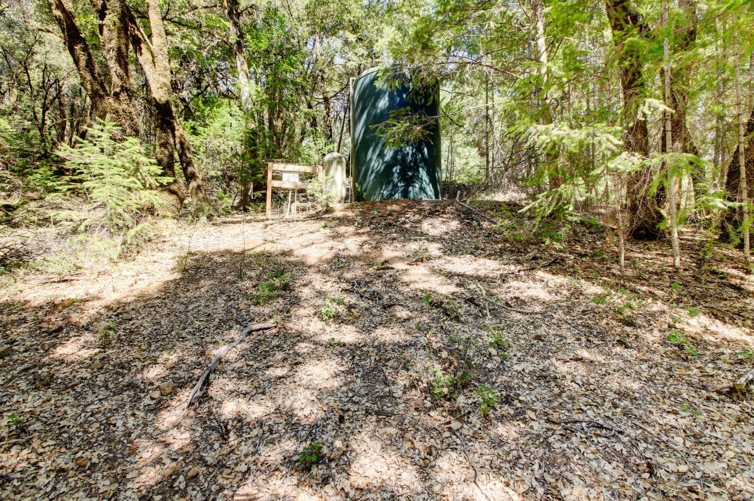 Pine Cone Circle, Grass Valley, California image 7