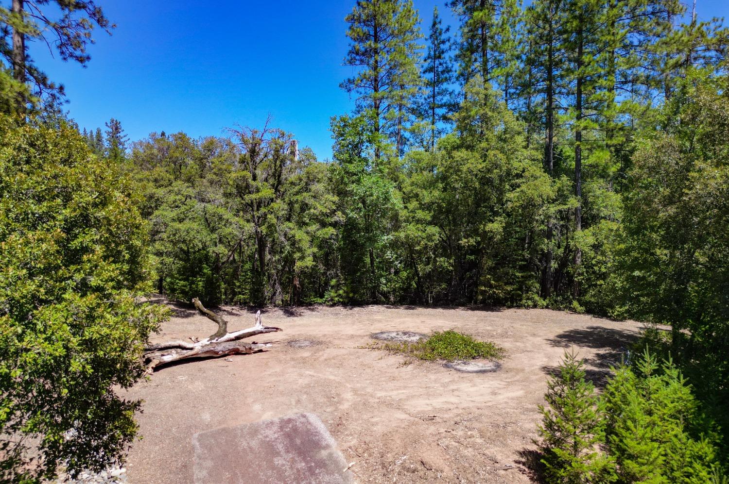 Pine Cone Circle, Grass Valley, California image 15