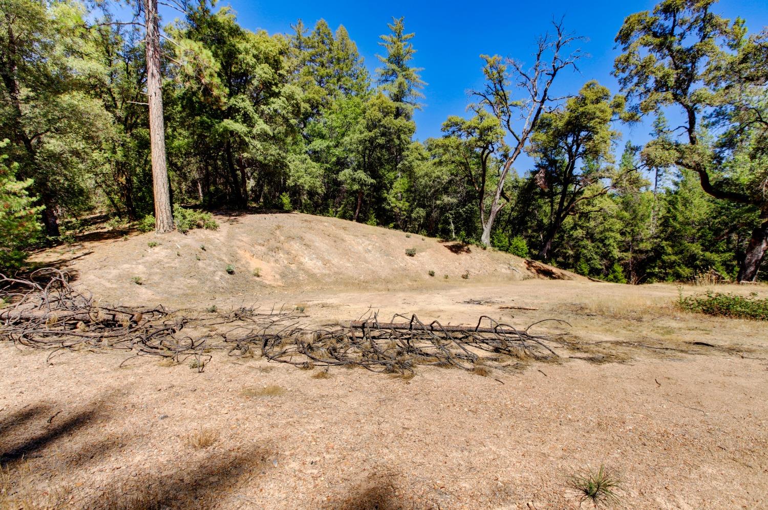 Pine Cone Circle, Grass Valley, California image 49