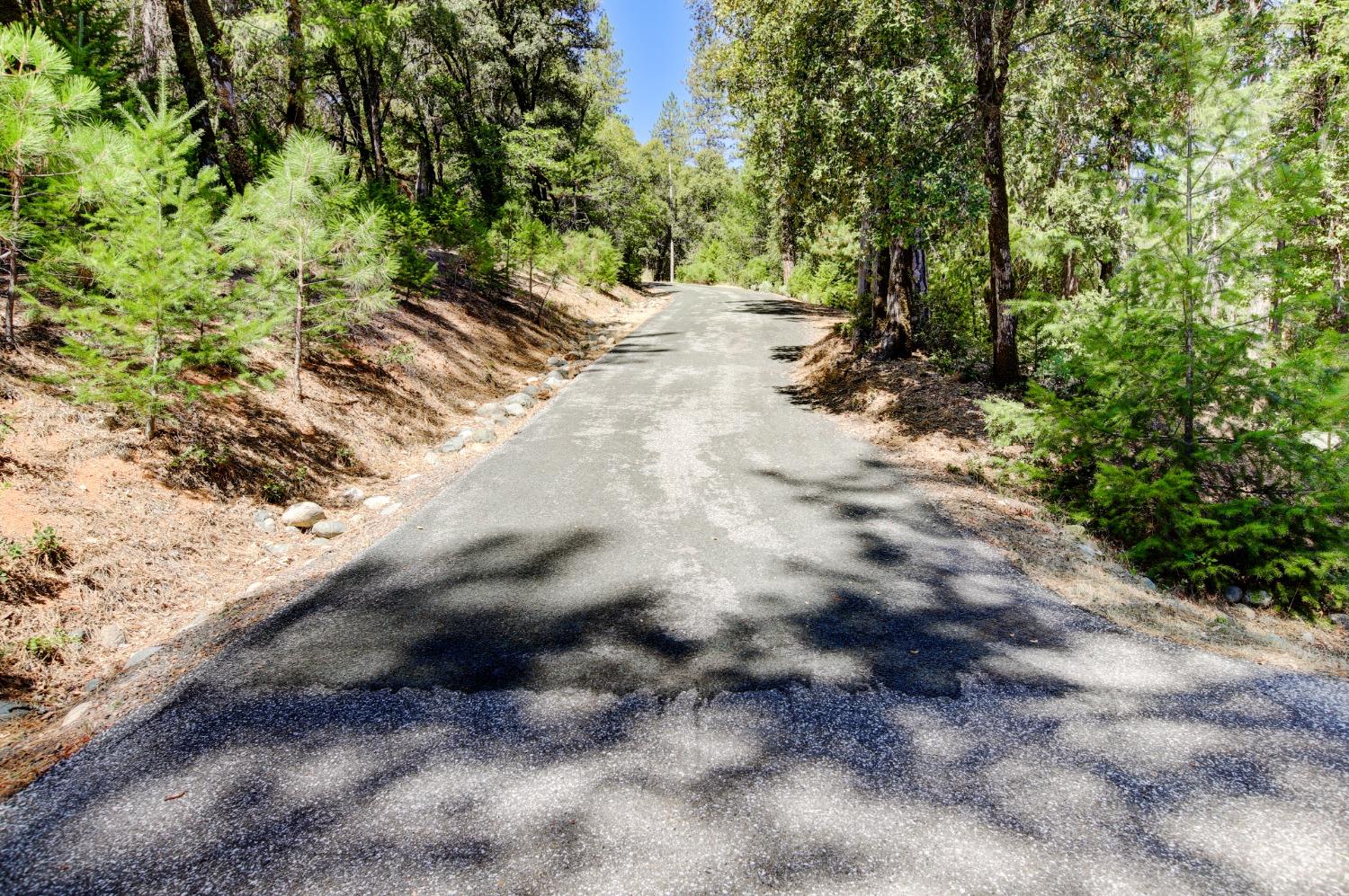 Pine Cone Circle, Grass Valley, California image 37