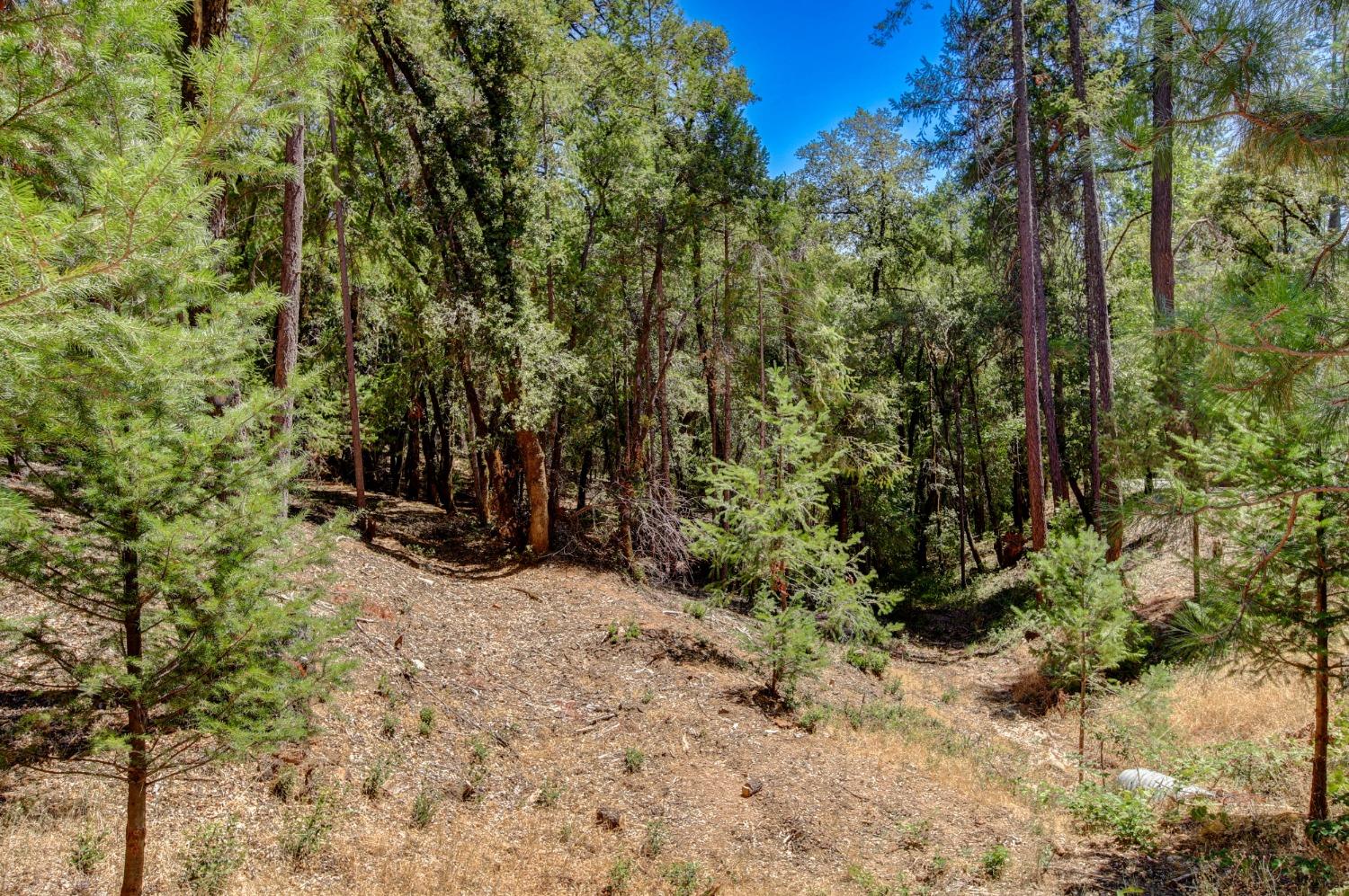 Pine Cone Circle, Grass Valley, California image 17