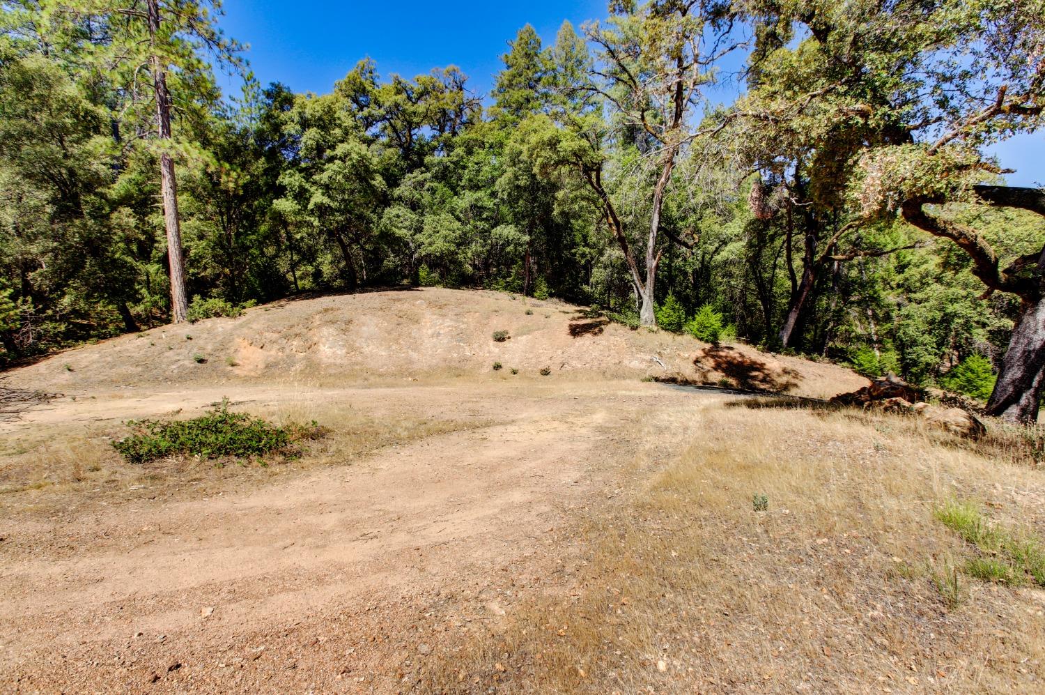 Pine Cone Circle, Grass Valley, California image 44