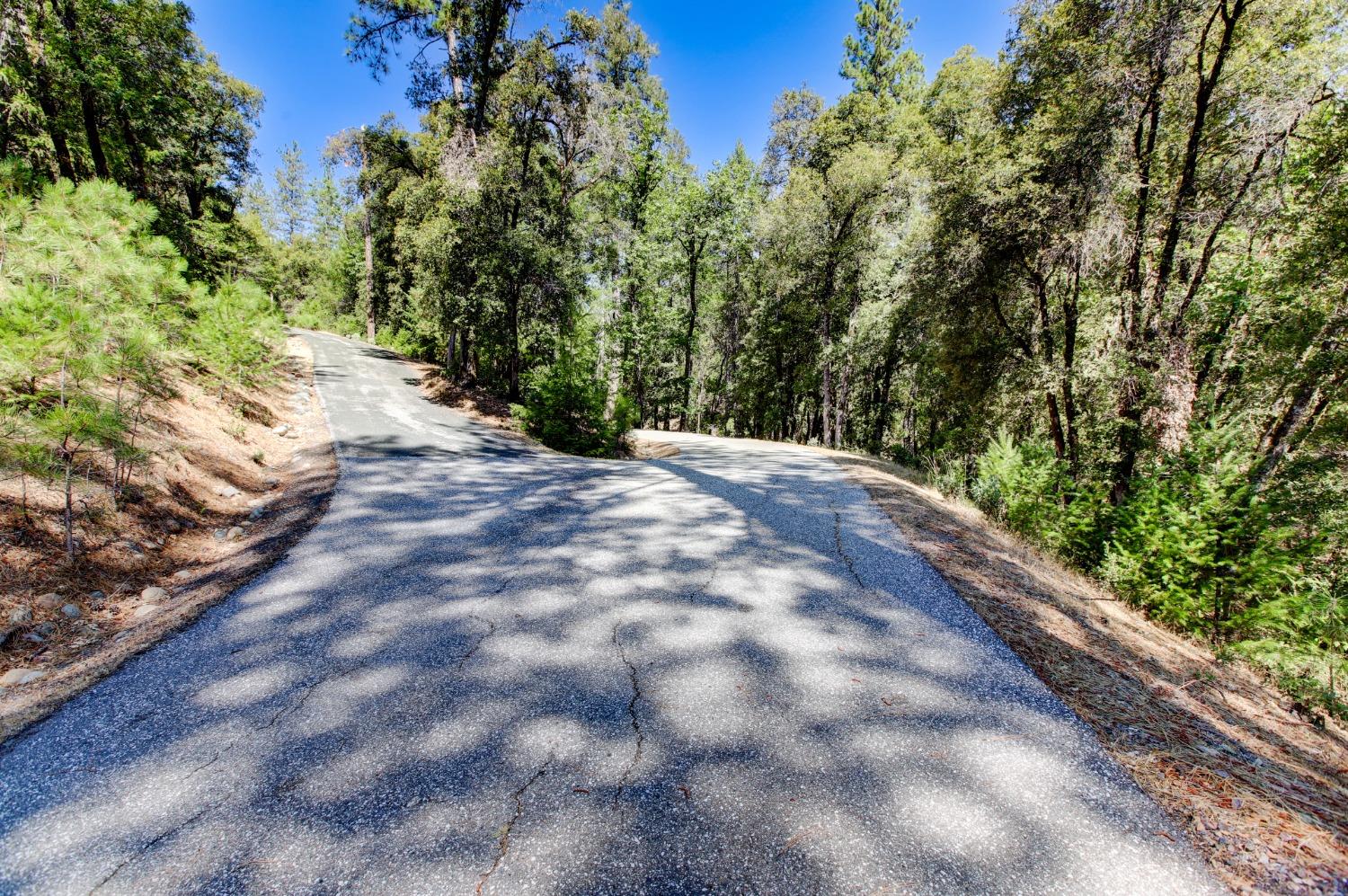 Pine Cone Circle, Grass Valley, California image 36