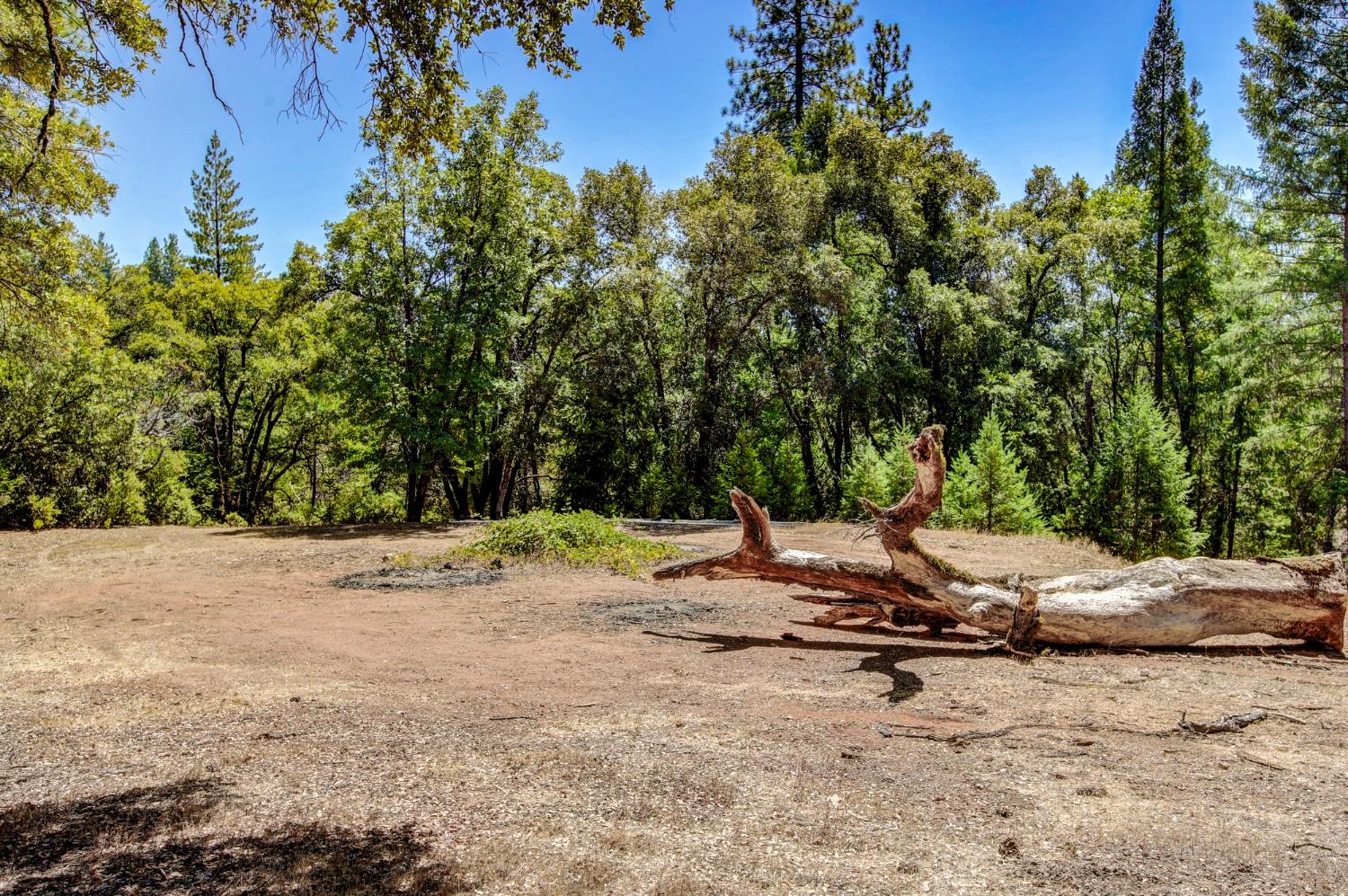 Pine Cone Circle, Grass Valley, California image 20