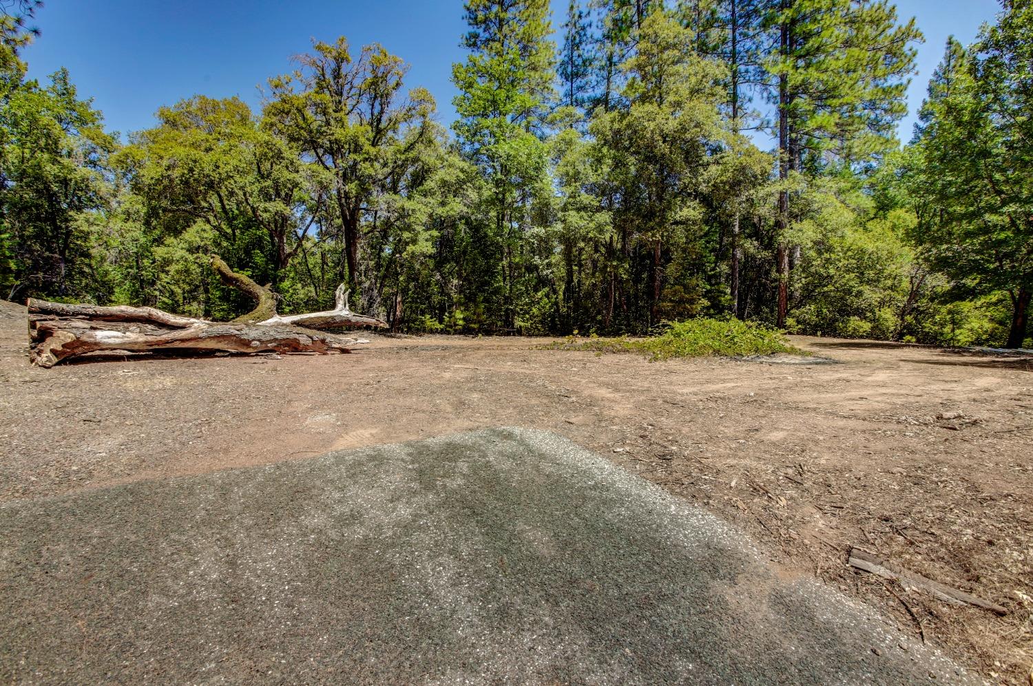 Pine Cone Circle, Grass Valley, California image 18